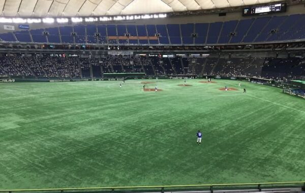 東京ドーム外野指定席(レフト)(50通路 16列 F04 F05ブロック )座席からの見え方