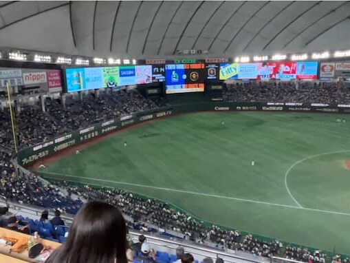 東京ドーム内野2階席_11通路_11列_座席からの見え方