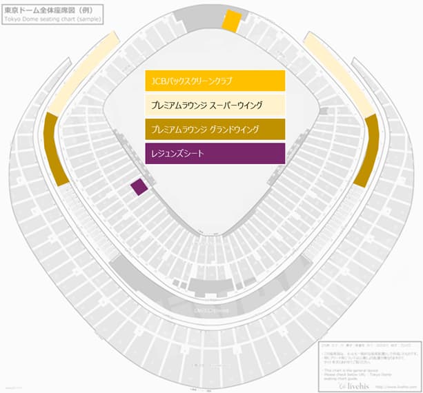東京ドームおすすめ座席_【特別体験】記念日・接待で失敗したくない！