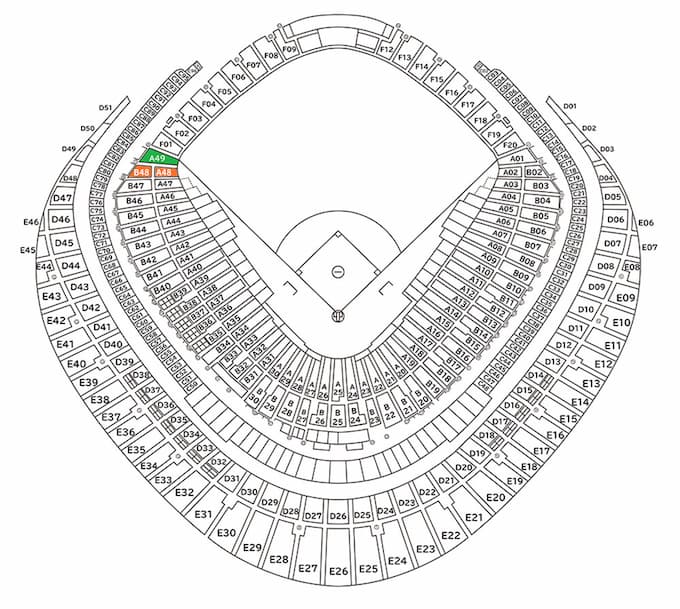 東京ドーム巨人戦_ビジターチーム応援パック