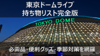 東京ドームコンサート 持ち物リスト